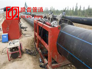 �����L(zh��ng)ɳ�гǽ�����